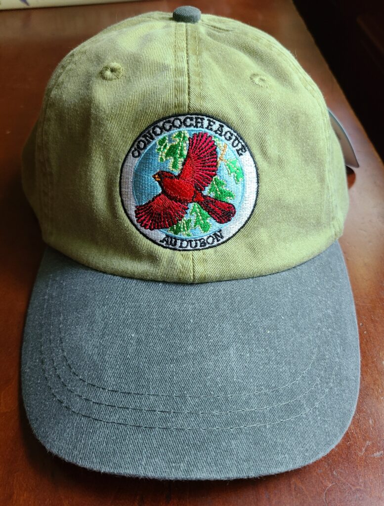 Hat with 2025 logo