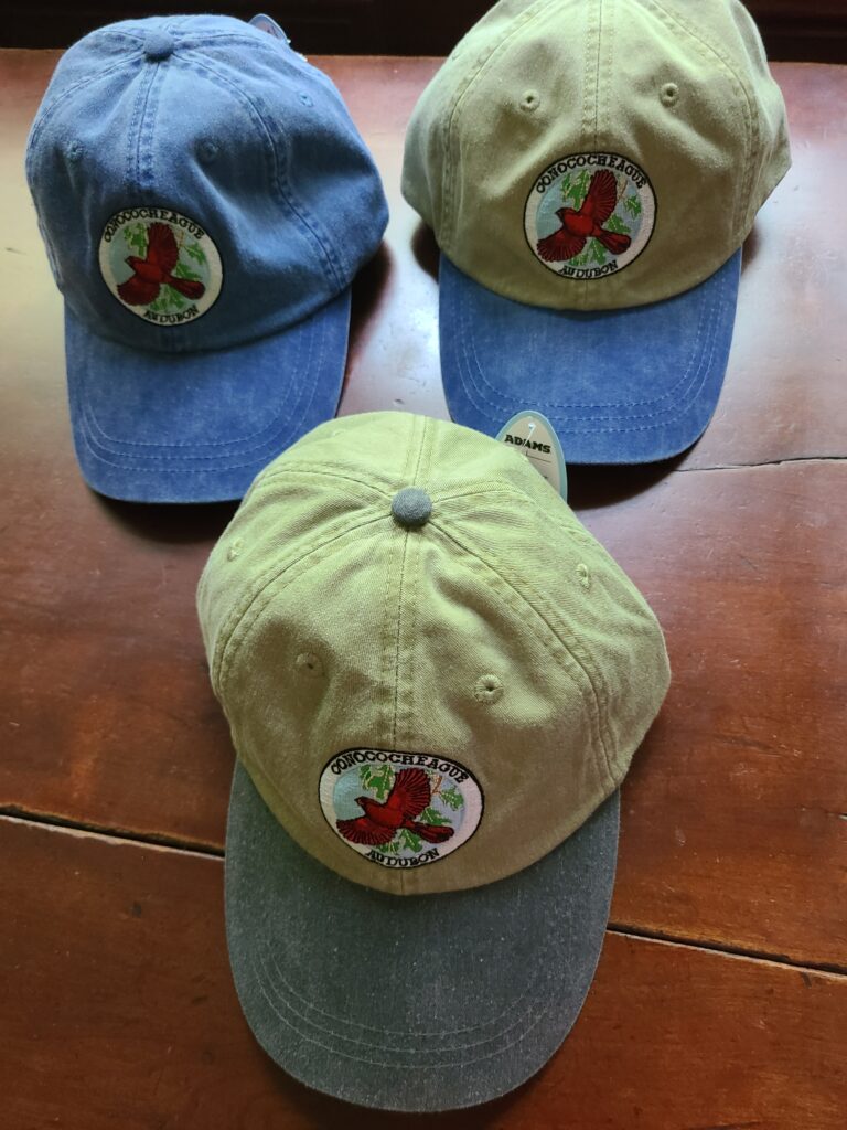 3 hats with 2025 logo
