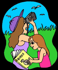 Especially for New Birders